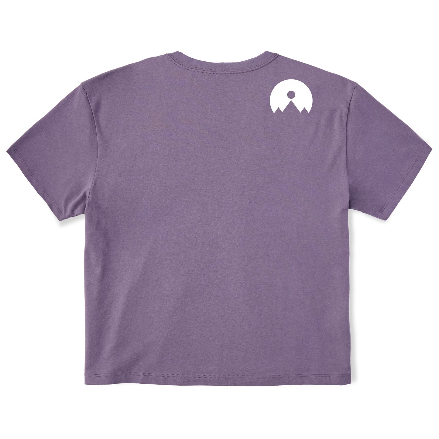 Standard Parlor Skis Tee