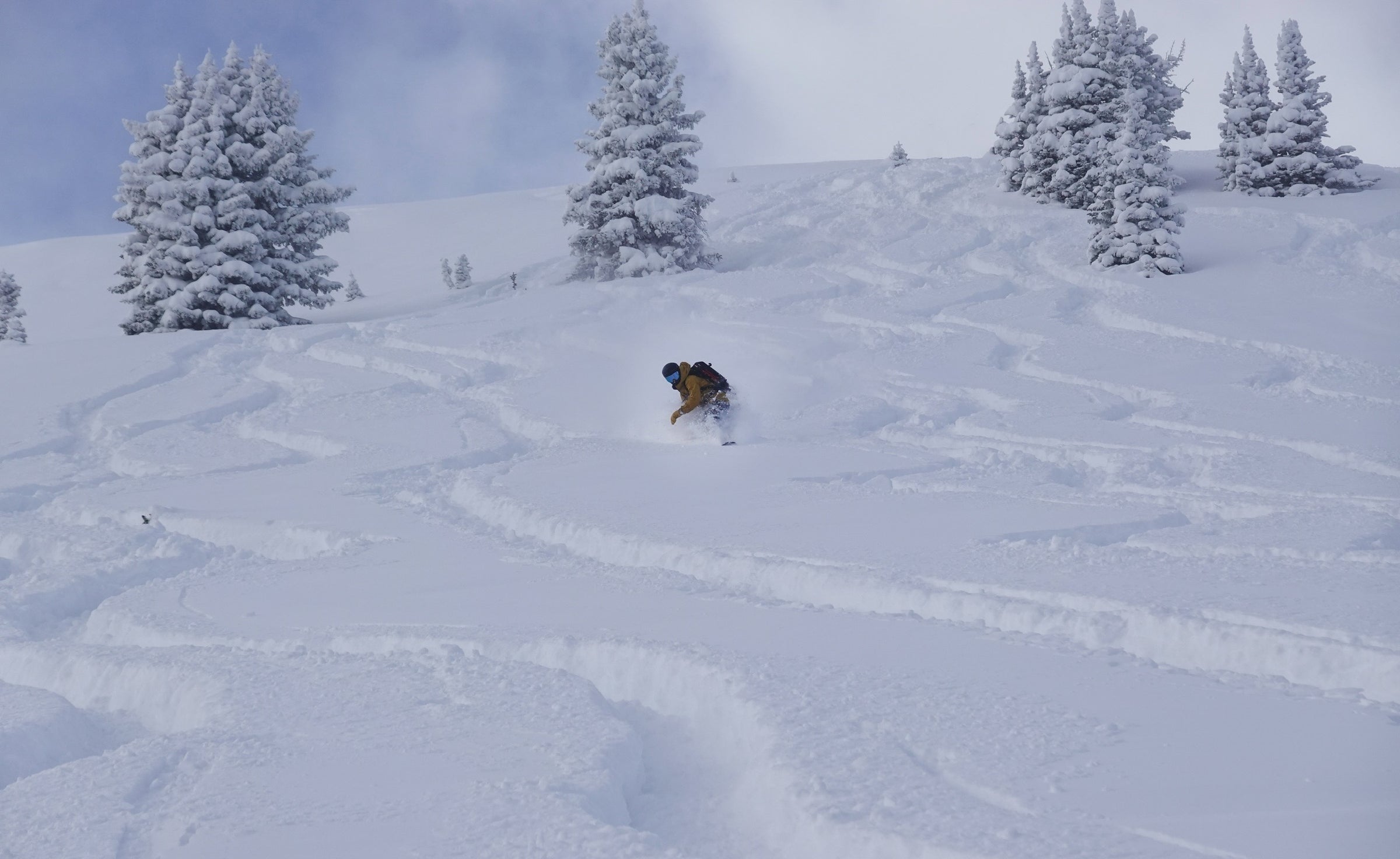 Snowboards Powder