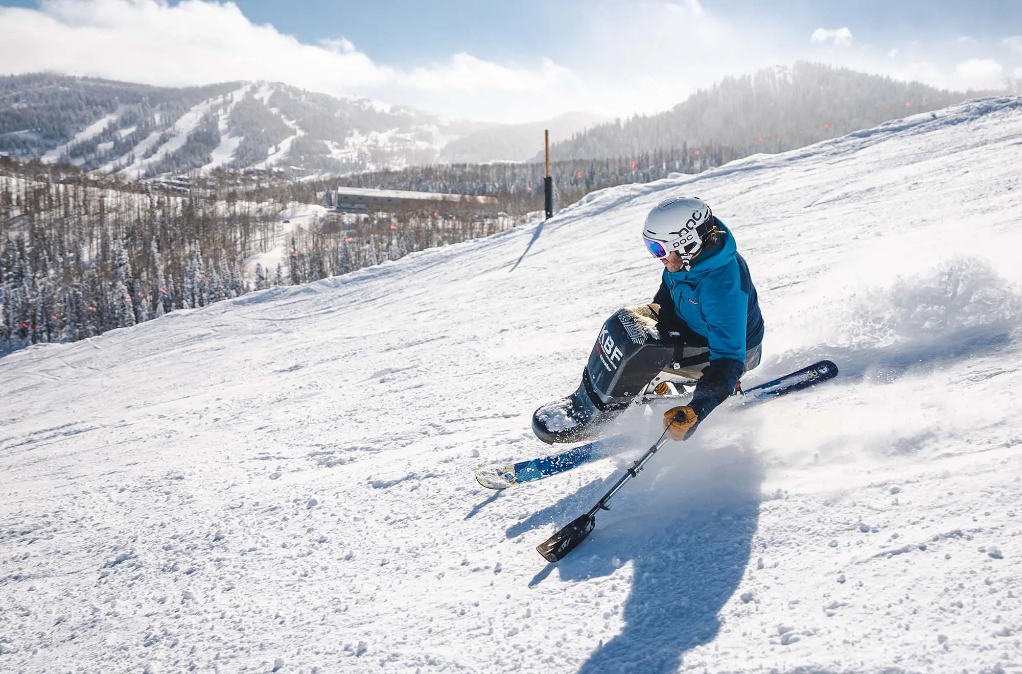 Adaptive Skis