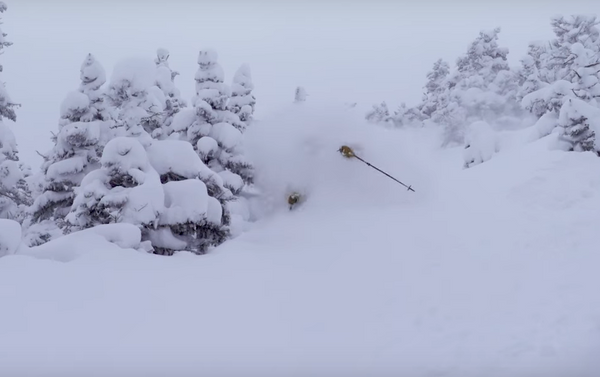 Video: Parlor Pro Chest Deep in Stella Storm