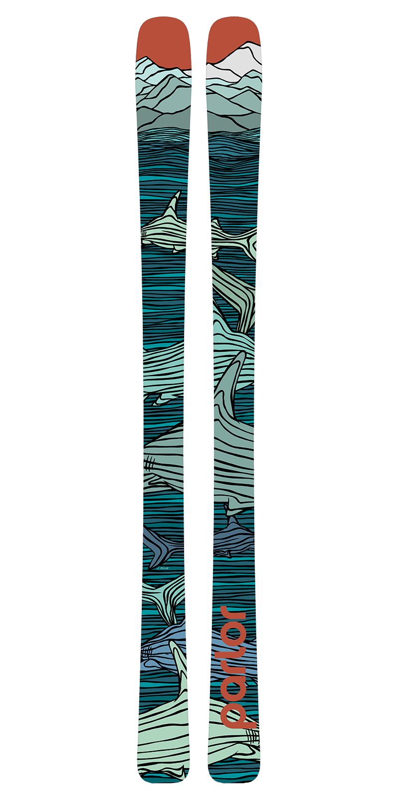 Cardinal-Semi-Custom – Parlor Skis