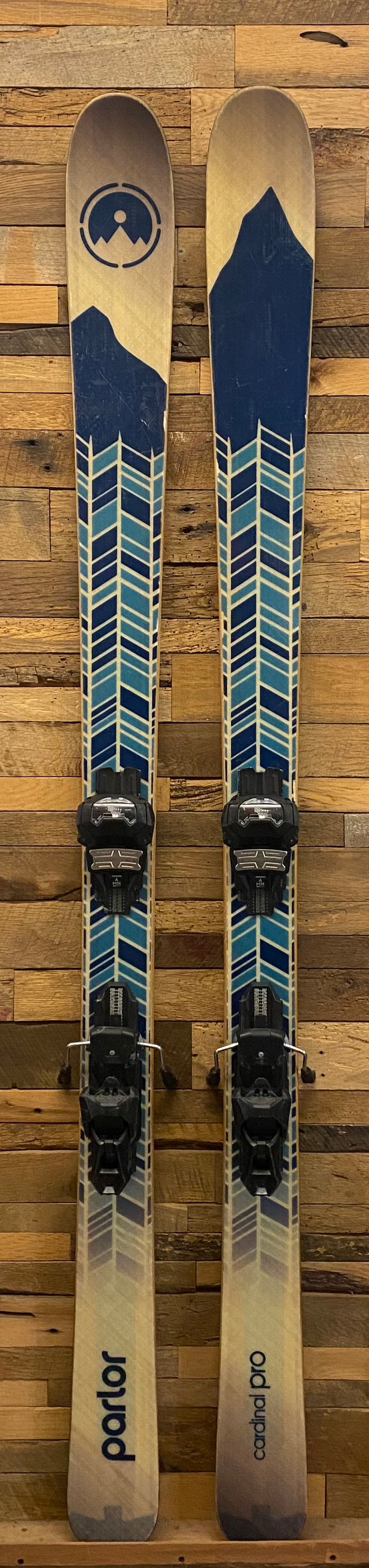 Cardinal Pro  - Demo ski with bindings