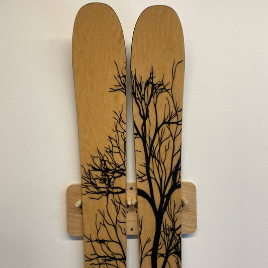 Ski Rack